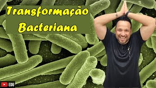 Transformação Bacteriana  Conceito e Processo  Reprodução Bacteriana  Microbiologia [upl. by Grayce]