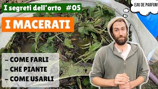 Semplici MACERATI FERTILIZZANTI fai da te 05 I segreti dellorto [upl. by Julis]