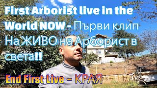 End first Arborist Live  Финална част на живото рязане live [upl. by Nojram]