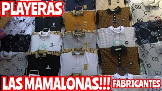 PLAYERAS LAS MAMALONAS DEL CENTRO CALIDAD PRECIO ENVÍOS Y MAYOREO NO VAS A ENCONTRAR MÁS BARATO [upl. by Notsahc]