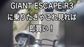 GIANT ESCAPE R3購入3ヶ月後ゆるポタ再レビュー【観れば即購入】 [upl. by Airekal]