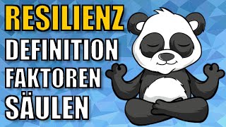 RESILIENZ stärken beim Kind  Definition Resilienzfaktoren und Säulen der Resilienz  ERZIEHERKANAL [upl. by Gilder]