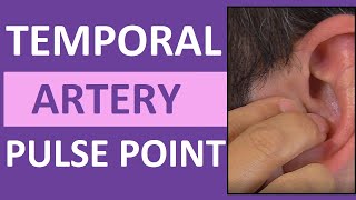 Temporal Pulse Point Palpation Location and Nursing Assessment [upl. by Aeslehs]