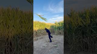 How To Get BANNED from a Corn Maze [upl. by Rephotsirhc]