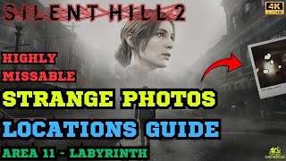 All Strange Photos in Area 11 Labyrinth  Key item for Pieces Unarranged Trophy Guide [upl. by Alasdair]