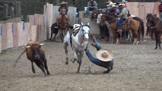 coleadero en el lienzo charro el zacatecano 03202021 [upl. by Aicylla636]