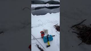 Winter Backcountry British Columbia shorts [upl. by Akeenahs146]