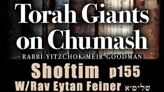 Shoftim 5784  Eliyahu In Chumash Devorim  Steven Geller [upl. by Aivalf]