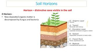 51 What is soil Video 2024 [upl. by Kahcztiy]