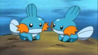 Mudkip the Mud Fish Pokemon [upl. by Naivad244]