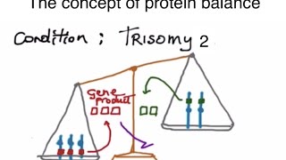 Meiosis nondisjunction and aneuploidy [upl. by Siroved]