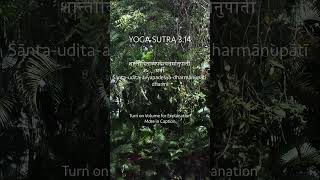 Yoga Sutra 314 Understanding the Nature of Transformation in the Calm and Active States [upl. by Horacio703]