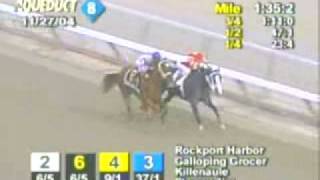 2004 Remsen Stakes [upl. by Eilah]