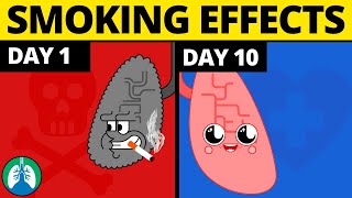 What Happens to Your Body When You Quit Smoking [upl. by Krein249]