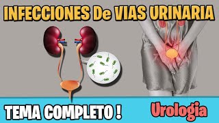 INFECCIONES DE VIAS URINARIAS Sintomas Diagnostico TRATAMIENTO IVU  ITU [upl. by Namas743]