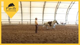 Train Your Horse to Circle with Pat Parelli [upl. by Erasmus668]