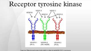 Receptor tyrosine kinase [upl. by Tnecniv521]