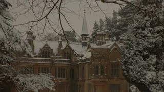 you’re studying in an ancient university as the snowflakes fall  dark academia playlist [upl. by Eenerb]