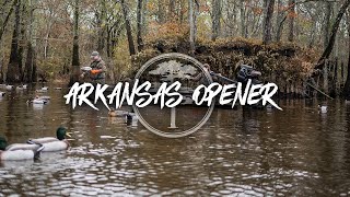 Duck Hunting Arkansas Timber Hunting [upl. by Zinn689]