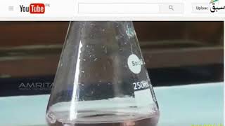 10 Practical Determine the Solubility of Mohr’s Salt 11th12th [upl. by Sabsay]