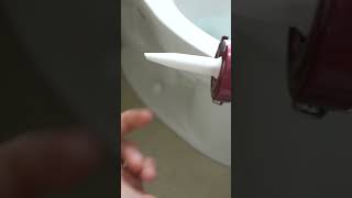 How To Caulk The Bottom Of Your Toilet To STOP Leaks amp Mold shorts [upl. by Aillicirp]