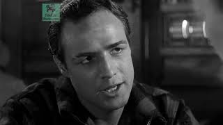 On the Waterfront 1954 Marlon Brando and Eva Marie Saint in the bar scene from classic movie [upl. by Rosmarin]