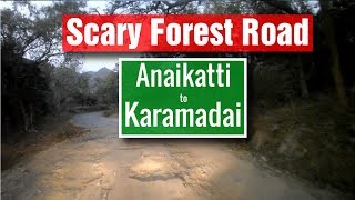 Anaikatti to Karamadai Scary Forest Road Road condition  Elephant searching  Evening Night Drive [upl. by Nahgem297]