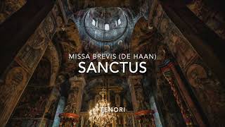 SANCTUS  TENORI  Missa Brevis De Haan Base musicale [upl. by Marelda761]