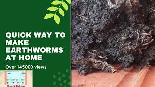 Quick Way to make Earthworms at Home [upl. by Annagroeg]