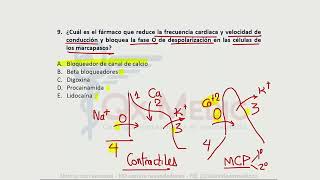 Simulacro N°13 Parte A [upl. by Bruyn]