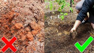 Improving Clay Soil the EASY Way for the Homestead Garden [upl. by Panayiotis]