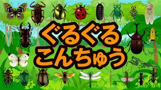 【昆虫の名前】子供がよろこぶ昆虫アニメぐるぐる回って楽しく覚える★かぶとむし・くわがた・せみ・だんごむし・たまむし・ばった・とんぼ・たがめ・かなぶん・てんとうむし★赤ちゃん向けの教育コンテンツ [upl. by Niwdla]