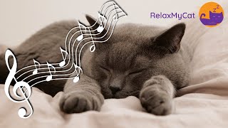 Sounds Cats Love  Soothing Cat Music for Happy and Relaxed Cats💤🎶 [upl. by Yliah]