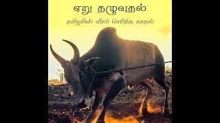 Jallikattu History in Tamil  Suryan Explains [upl. by Ahsiekyt]