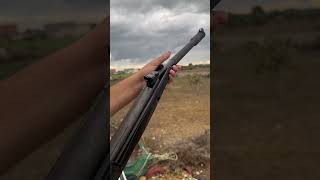 Amazing shoot with airgun birdshunting airgunhunters airgun airgunshooting [upl. by Airel]