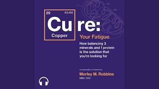 Chapter 38  Cure Your Fatigue [upl. by Ahsinod]