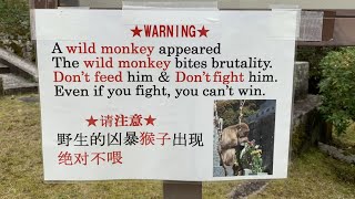 The Ironic Anxiety of Badly Translated Safety Warnings [upl. by Rosenblum385]