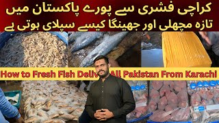 How to Fresh Fish Deliver All Over Pakistan From Karachi Fishery  Karachi Fish Harbour Update 2024 [upl. by Inalej]