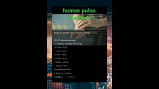 человеческий пульс стандартный human pulse standard heart [upl. by Ardnuhsed]