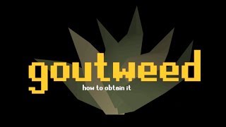 Obtaining Goutweed Fast  OSRS Guide [upl. by Goar]