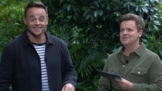 Ant and Dec apologise after Im A Celebrity host makes awkward live blunder [upl. by Acireit]