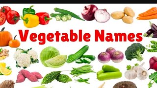 Vegetables Name l Vegetables name in English l vegetables picture l name of vegetables in English [upl. by Ajssatan]