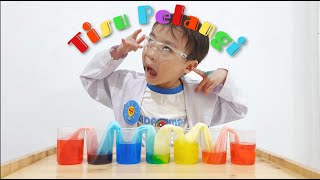 Eksperimen KAPILARISASI Tisu Pelangi  capillary action paper towel rainbow kids science experiment [upl. by Neehs]