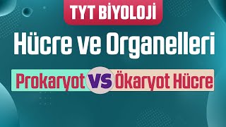 14 Hücre ve Organelleri  Prokaryot ve Ökaryot Hücre Farkları [upl. by Bove]