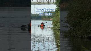 Angelhaken im Hals tierrettung animalrescue tiernotruf schwan [upl. by Carey973]