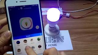 EACHEN WIFI RGB BULB USING EWELINK APP [upl. by Drageruaeb876]