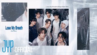 Stray Kids quotLose My Breath Stray Kids Verquot Lyric Visualizer [upl. by Lemal]