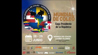 XII MUNDIAL DE COLEO VENEZUELA 2024 DIA 1 [upl. by Adelaide378]