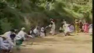 Ayoob Tarish  Yemeni Song [upl. by Dnalyram961]