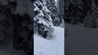 Riding Steepest Run On Cypress Mountain [upl. by Efram]